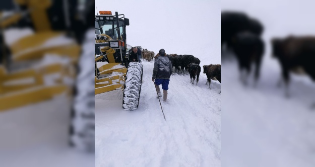 Bayburt'ta karda mahsur kalan 20 kişi kurtarıldı