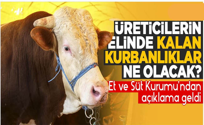 Et ve Süt Kurumu, üreticilerin kalan kurbanlıklarını satın alacağını duyurdu!